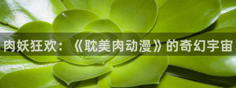 香蕉成熟时百度云:肉妖狂欢:《耽美肉动漫》的奇幻宇宙配图