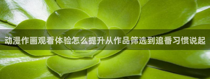 香蕉成熟时夏梦:动漫作画观看体验怎么提升从作品筛选到追番习惯说起配图