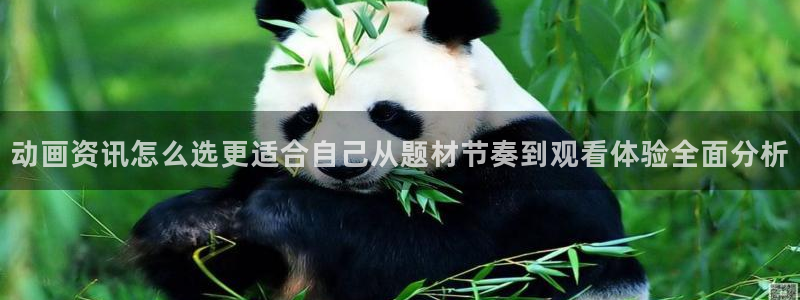 当香蕉成熟时插曲：动画资讯怎么选更适合自己从题材节奏到观看体验全面分析配图