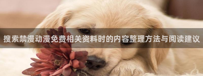 香蕉成熟时红海湾小帅：搜索禁漫动漫免费相关资料时的内容整理方法与阅读建议配图
